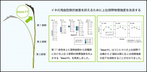 bsuc11図3