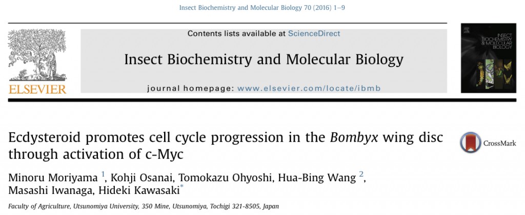 “Ecdysteroid promotes cell cycle progression in the Bombyx wing disc through activation of c-Myc”のプレビュー